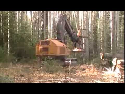 Tigercat-860C-Feller-Buncher-Cutting-Massive-Rotten-Poplar-Trees.-Hudson-Hope-BC.
