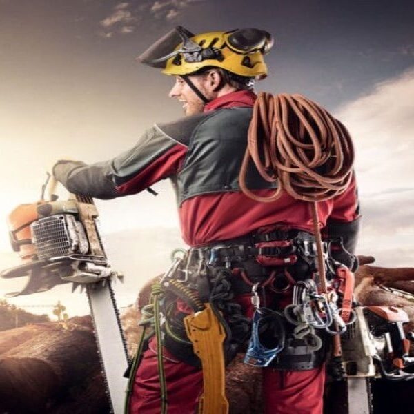 cropped-cropped-cropped-cropped-single_logger_with_rigging-1jpg | Loggers Broad Form
